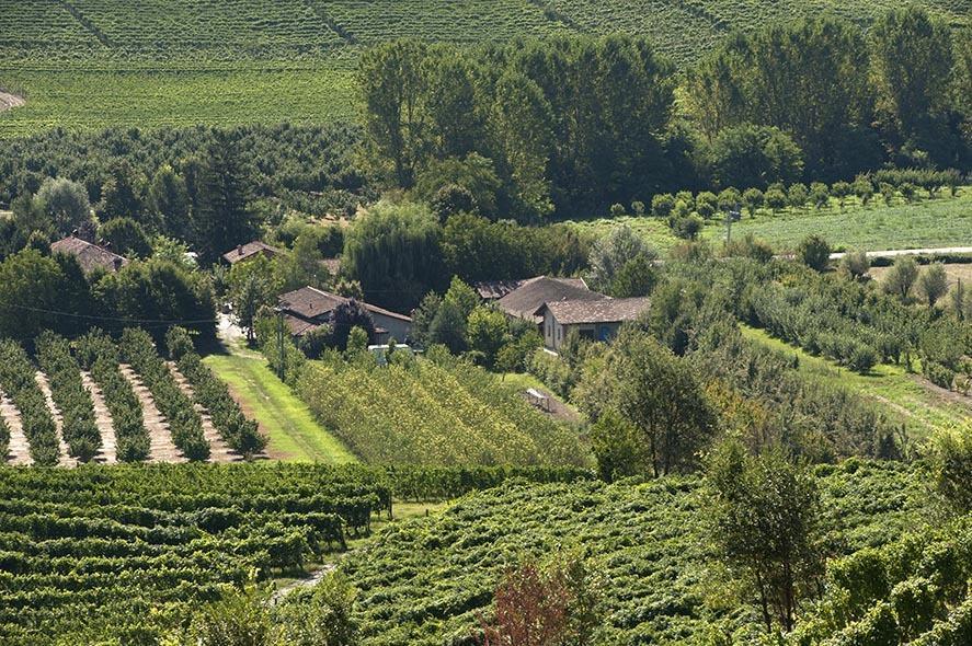 Cascina Ballarin La Morra Exterior photo