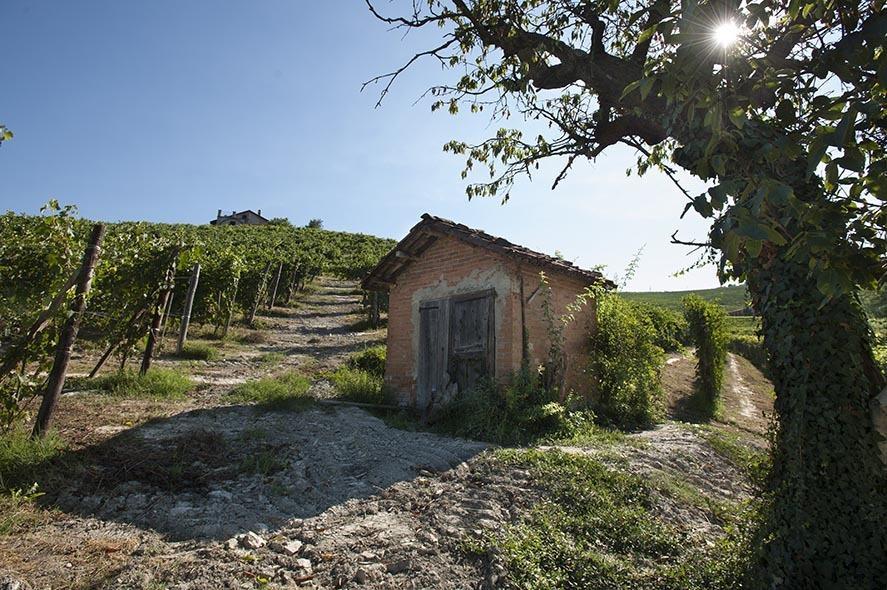 Cascina Ballarin La Morra Exterior photo