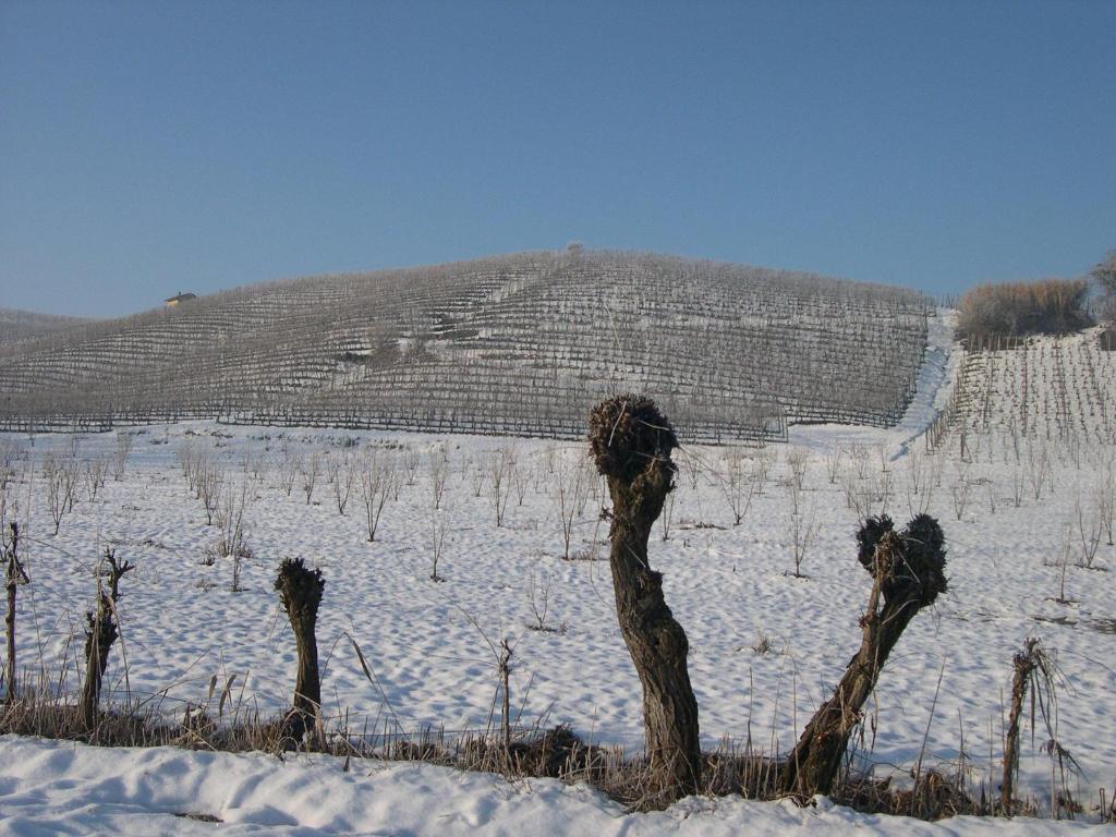 Cascina Ballarin La Morra Exterior photo