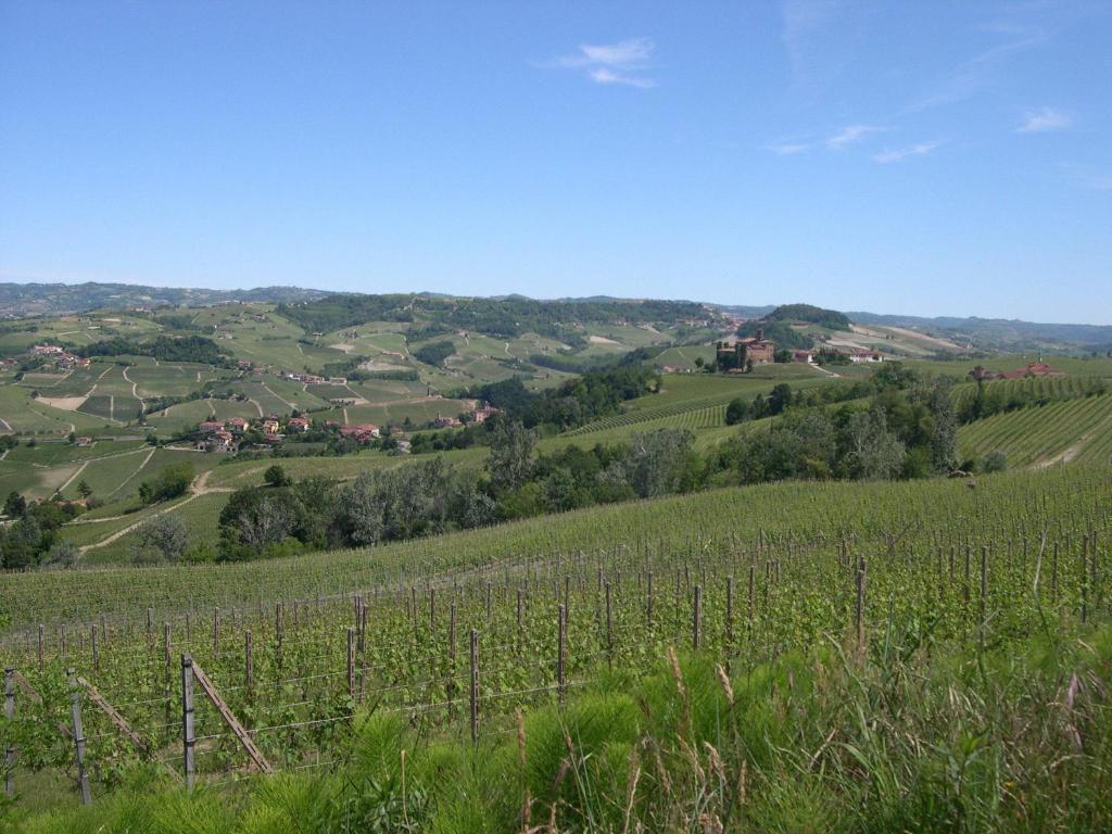 Cascina Ballarin La Morra Exterior photo
