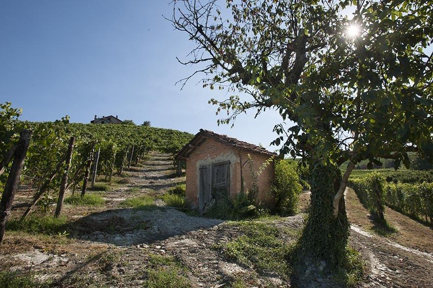 Cascina Ballarin La Morra Exterior photo